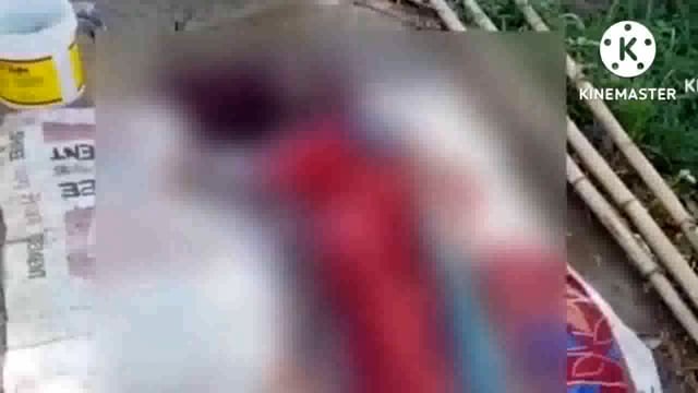 धान के बिचड़ा की सिंचाई करने गए युवक की सर्पदंश से हुई मौत परिजनों में मचा कोहराम