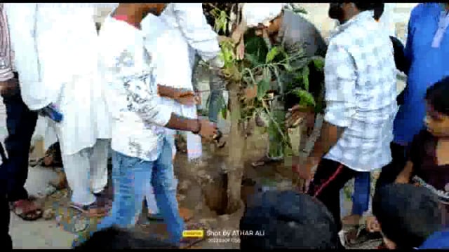 जनपद बहराइच नानपारा मोहल्ला तोपखाना ,नानपारा के एक तारीखी जगह अंजुमन जुलूसे मोहम्मदी के मैदान में वृक्ष रोपड़ किया गया 