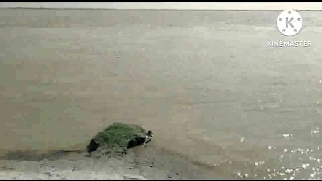 सरयू नदी का जलस्तर स्थिर होने से ग्रामीणों ने ली राहत की सांस 