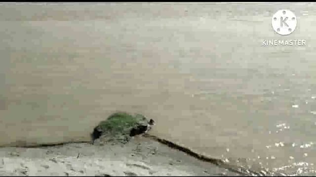 सरयू नदी का जलस्तर स्थिर होने से ग्रामीणों ने ली राहत की सांस 