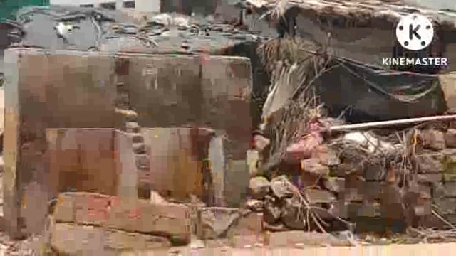 मांगरोल बंबोरी रोड सहारिया बस्ती का पेशाब नगर पालिका प्रशासन द्वारा नहीं दिया जा रहा है ध्यान