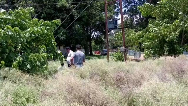 तीन दिन पहले गायब महीला का मिला शव उस्का के तेतरी खुर्द का मामला 