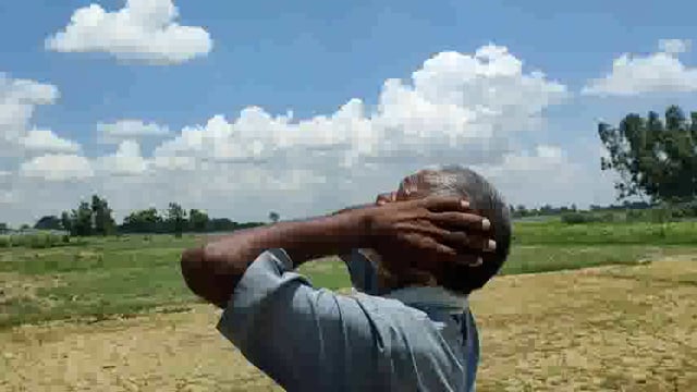 इटवा सहित पूरे जिले में बारिश ना होने से किसान परेशान सरकार से लगा रहे मदद की गुहार ।