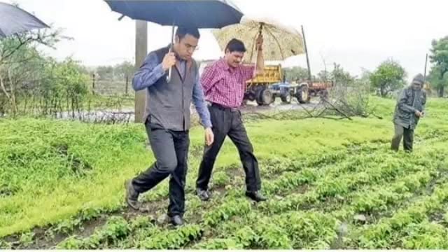 जिल्हाधिकारी पृथ्वीराज बी.पी.भर पावसात शेतकऱ्यांच्या बांधावर