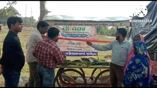 जीविका दीदी व्यवसाय करके हो रही है आत्मनिर्भर, प्रखंड परियोजना क्रियान्वयन  इकाई  फुलिडुमर