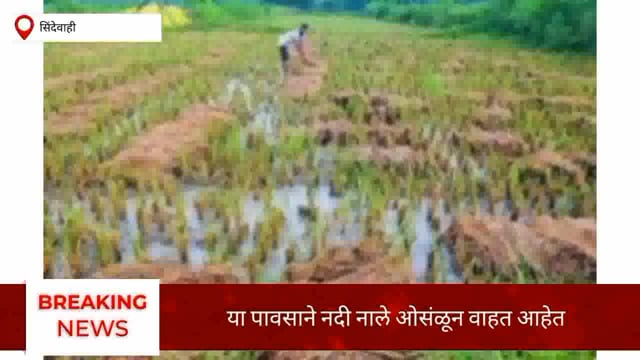 अतिवृष्टीमुळे शेतकऱ्याचे पिक दुबारा पेरणी करण्याची संकट. 