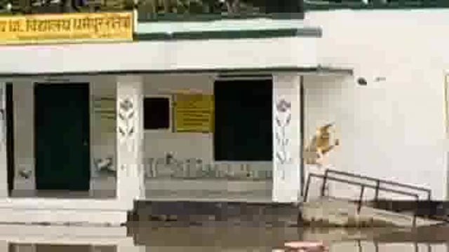 उच्च प्राथमिक विद्यालय धर्मपुर रेतिया में घुसा बाढ़ का पानी जलमग्न हुआ विद्यालय