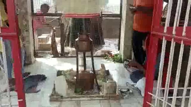 माट डागोली स्थित गोपेश्वर मंदिर पर भक्तों की उमड़ी भीड़ की पूजा अर्चना