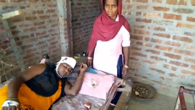 ikauna:- बंदर के हमले में गंभीर रूप से घायल हुई महिला