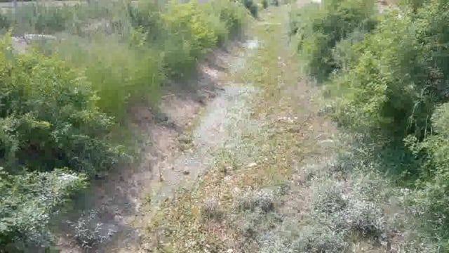   डीह व छतोह ब्लाक क्षेत्र से निकली नहरो में उड़ रही धूल, धान की रोपाई  हुई बाधित,किसानो के चेहरों पर छाई मायूसी।