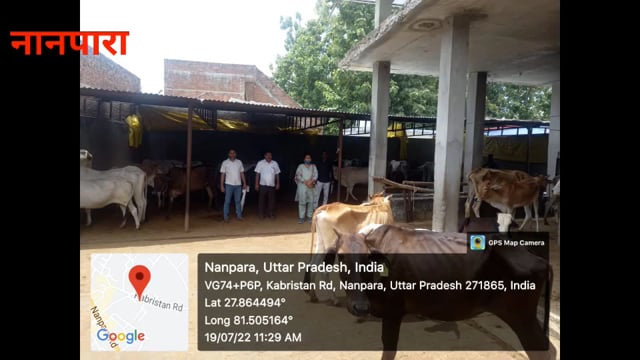 नानपारा नगर पालिका परिषद अधिशासी अधिकारी रेनू यादव ने गौशाला का निरीक्षण किया मुख्यमंत्री के आदेश अनुसार भूसा हरा चारा 