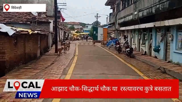  शहरात कुत्र्याचा हैदोस नागरिक त्रस्त प्रशासन सुस्त. 