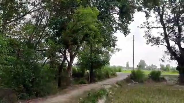 जनपद बहराइच महसी तहसील क्षेत्र अमवा  तेतारा गांव में विद्युत समस्या बनी हुई है