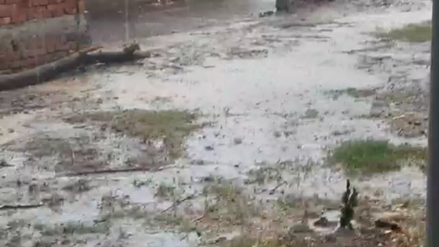 नवाबगंज क्षेत्र के सभी जगहों पर सावन माह की पहली बारिश से किसानों के खिले चेहरे