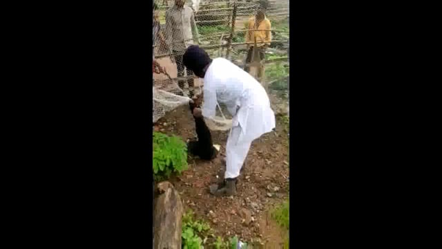 स्नेक  कैचर मेंन मोहम्मद जाकिर खान ने एक दिन में 6 सर्पो का रेस्क्यू कर जंगल में सुरक्षित छोड़ा