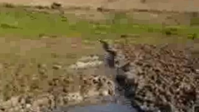 चुनार मिर्ज़ापुर: जरगो डैम में लीकेज से खतरे की आशंका