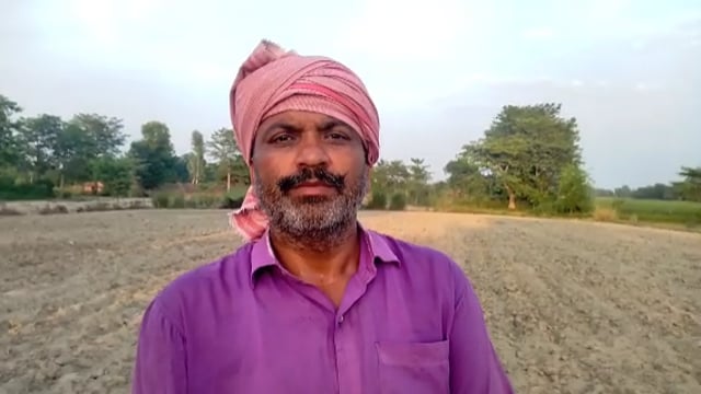 तरबगंज: महज कागजों में छाई हरियाली