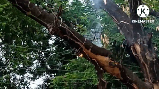 चायल:विकासखंड नेवादा के सामुदायिक स्वास्थ्य केंद्र के बगल में दिखी बिजली विभाग की बड़ी लापरवाही