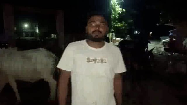 सिकटा में सड़कों पर घूम रहे छुट्टा गौवंश राहगीर सहित किसान परेशान सपा नेता मनीष सिंह ।