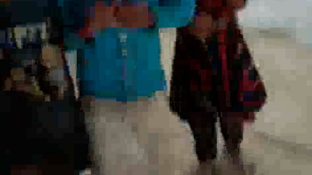 रठेना में बंदरों के आतंक से ग्रामीण सहित विद्यालय में पढ़ने वाले छात्र छात्राएं परेशान ।