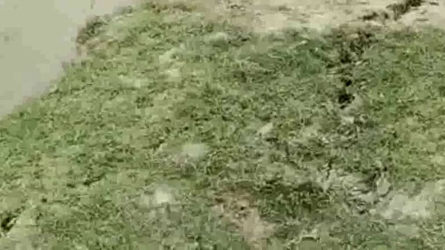 घाघरा नदी के बाढ़ के आगोश में समाई ग्रामीणों की सैकड़ों बीघा जमीन,किसान चिंतित, प्रशासन बेखबर