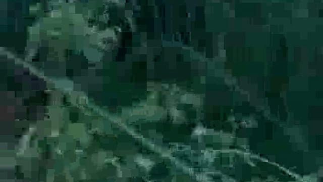 प्रतापगढ़ जिले के संग्रामगढ़ थाना क्षेत्र के नेवादा खुर्द गांव के समीप शारदा सहायक नहर के बगल दिखा तेंदुआ,