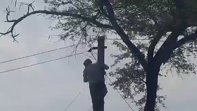 नवाबगंज क्षेत्र के कई जगहों पर बारिश व तेज हवा के कारण टूटा बिजली का तार कर्मचारियों ने जोड़ किया बहाल