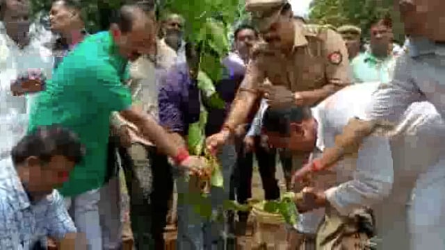 अस्ता ग्राम में उपजिलाधिकारी गरौठा के द्वारा किया गया वृक्षारोपण