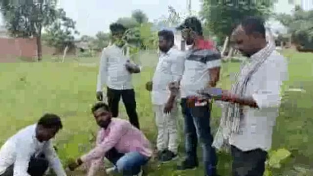 मदनपुर प्रखंड के महूलान में मुखिया व समाजसेवियों ने किया वृक्षारोपण