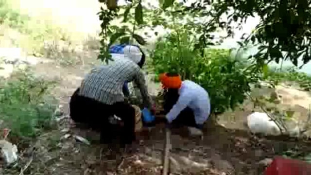 लखीमपुर खीरी (यूपी) राष्ट्रीय सेवक संघ-भारत की शाखा युवा मोर्चा महासंघ के पदाधिकारीयों ने बैठक कर किया वृक्षारोपण