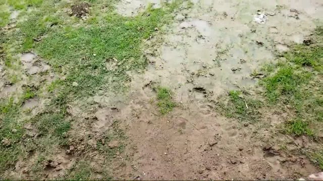 उच्च प्राथमिक विद्यालय सविलियन पूरे छत्तू छत से टपकता पानी, परिसर में बारिश से कीचड़
अधिकारियों ने नही लिया संज्ञान