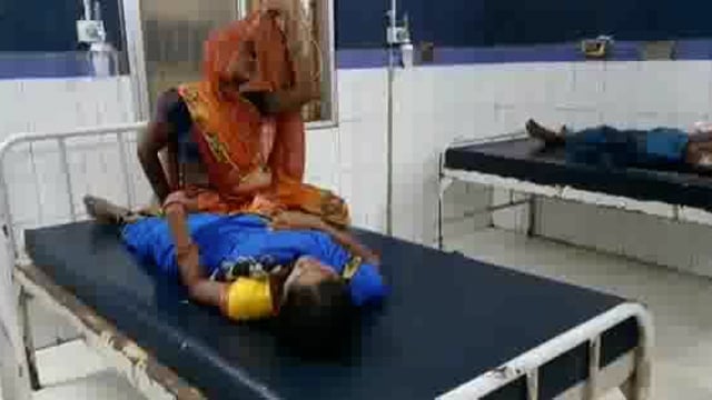 ढिबरा के निमिडीह गांव में महिला को सांप ने डसा,सदर अस्पताल में चल रहा है इलाज