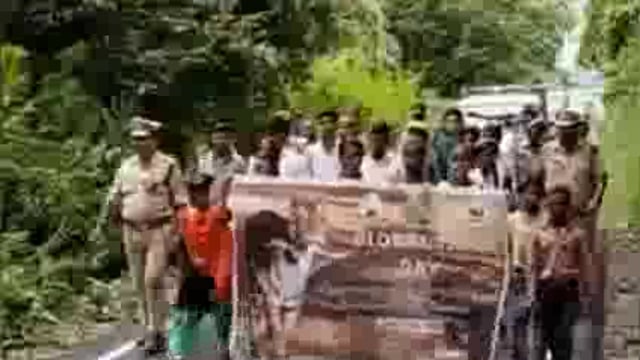 कतर्नियाघाट वन्यजीव प्रभाग में मनाया गया अंतर्राष्ट्रीय बाघ दिवस बच्चों ने वनकर्मियों के साथ किया टाइगर वाक