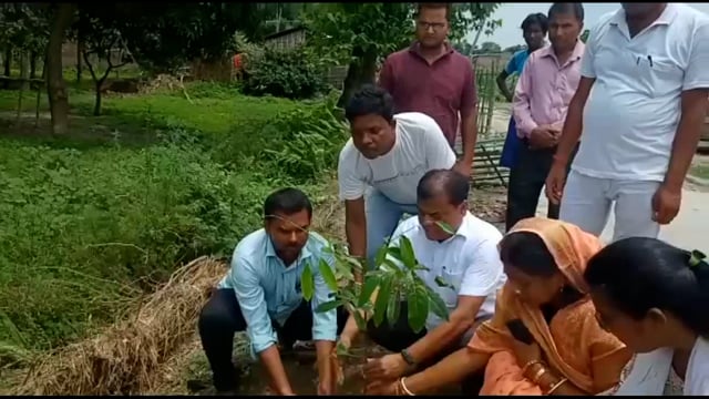 हथवाड़ा पंचायत में मनरेगा योजना से एडीएम विजय कुमार ने किया वृक्षारोपण,