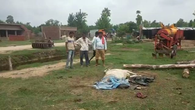 जनपद बहराइच खैरी घाट थाना क्षेत्र अंतर्गत नकहीं गांव में बालू से लोडा ट्रैक्टर ट्राली ने गोवंश को मारी जोरदार टक्कर  