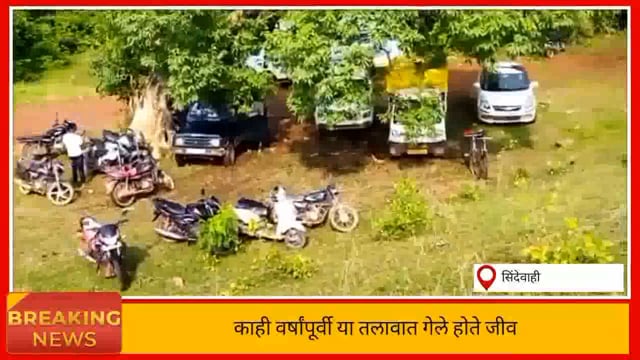 रविवारला नलेश्वर तलावाचा धबधबा बघण्याकरिता उमली गर्दी. 