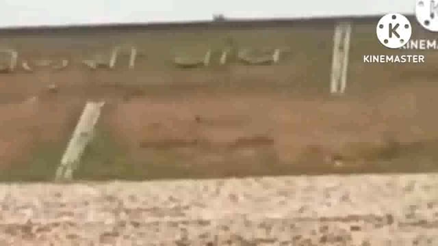 बिलारी बांध के निचे झाड़ीयों में मिले अज्ञात शव की बदबू से ग्रामीण परेशान, सीमा विवाद में उलझी पुलिस