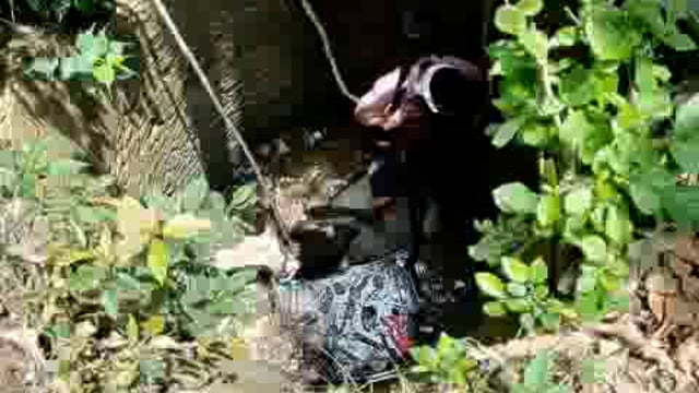 बिस्कोहर में कुएं में गिरा सांड जेसीबी से निकाला गया बाहर ।