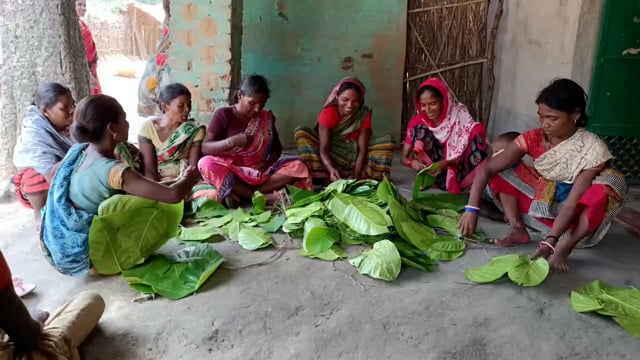 धरहरा प्रखंड में पॉलीथिन पर प्रतिबंध के बाद पत्तल उद्योग के दिन बहुरने की जगी आस @shashikant kumar#@