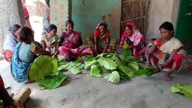 धरहरा प्रखंड में पॉलीथिन पर प्रतिबंध के बाद पत्तल उद्योग के दिन बहुरने की जगी आस @shashikant kumar#@