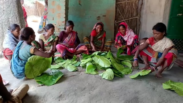 धरहरा प्रखंड में पॉलीथिन पर प्रतिबंध के बाद पत्तल उद्योग के दिन बहुरने की जगी आस @shashikant kumar#@