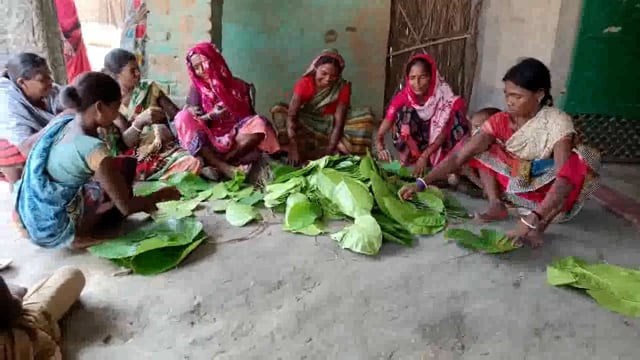 धरहरा प्रखंड में पॉलीथिन पर प्रतिबंध के बाद पत्तल उद्योग के दिन बहुरने की जगी आस @shashikant kumar#@