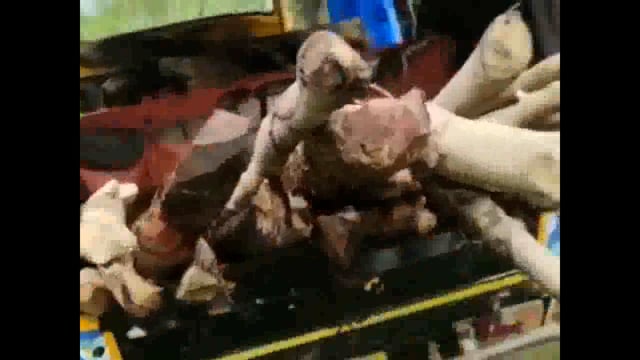 वन विभाग की पुलिस ने केवाल गांव के शिव मंदिर के समीप लकड़ी से लगा टैंपू को किया जप्त, दो के खिलाफ दर्ज की गई प्राथमिकी