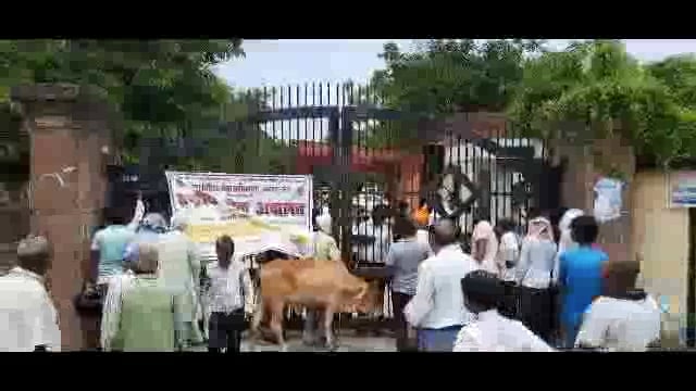 मऊ में अधिवक्ता पर हत्या के प्रयाश का मुकदमा दर्ज होने से आक्रोशित हुए अधिवक्ता पेशी पर आए मुवकीलो को धका मार भगाया