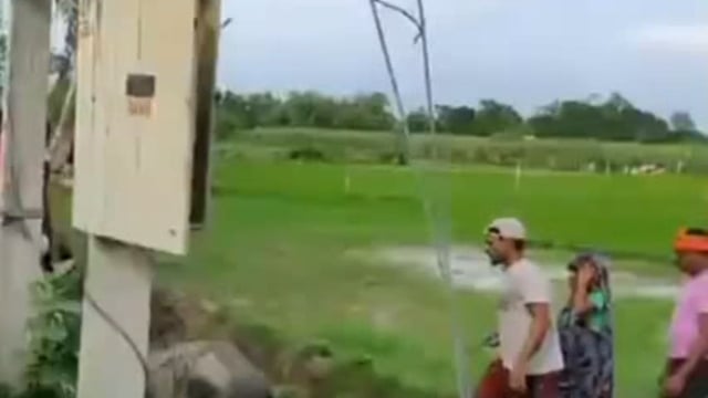 रामपुर के पास खेत में लगाए गए फेंसिंग तार में उतरा करंट चपेट में आया मवेशी झुलसा