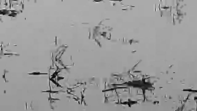 नवाबगंज :क्षेत्र में बह रही कोटला सरजू नदी का लगातार तेजी से बढ़ रहा जलस्तर