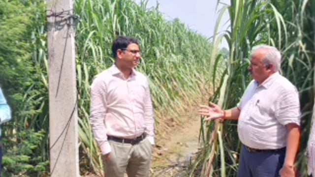 वजीरगंज :सेहरिया में जिला अधिकारी डॉ उज्जवल कुमार ने गन्ने की खेती का किया निरीक्षण
