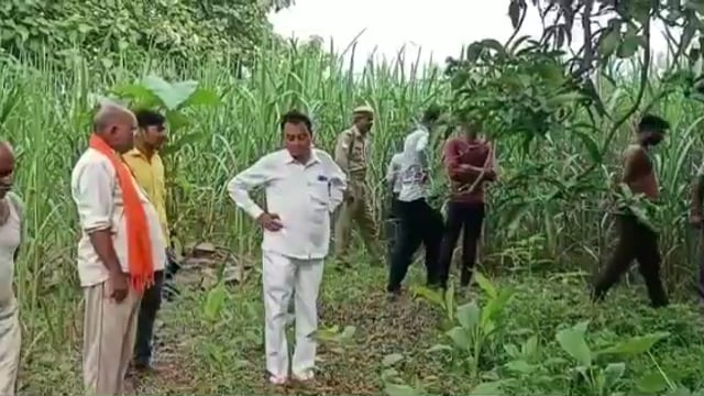 छपिया: मसकनवा चौकी अंतर्गत एक गांव  गन्ने के खेत में युवक का शव मिलने से मचा हड़कंप