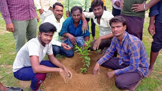 मांगरोल  क्षेत्र के समीपवर्ती मऊ गांव में किया पौधारोपण