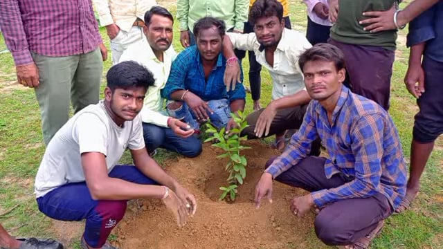 मांगरोल  क्षेत्र के समीपवर्ती मऊ गांव में किया पौधारोपण